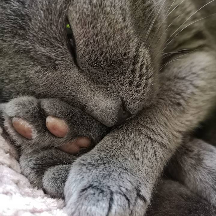 08c212ef 91e3 4a40 91cc e8ac5d709fef 1599367121463