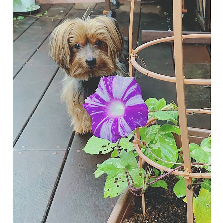 08c21bcc eb12 4c5a 926e 7796195a2365 1563314398458