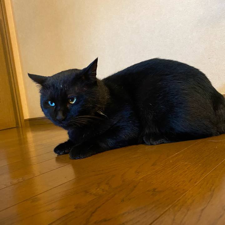 08c22eef 40bc 4323 aae1 447528d3bd99 1670109631469