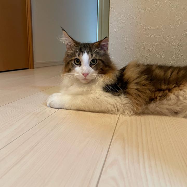 08c23df2 c681 4c0e b974 1cb4b0fb0d83 1639342199155