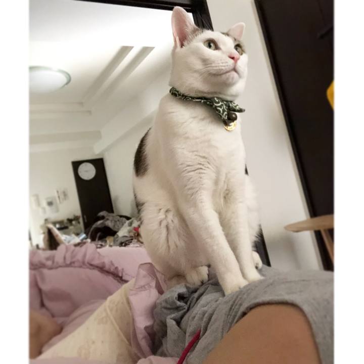 08c2e82b 64d8 47b1 b8d0 a2dbefd4947c 1534569388343