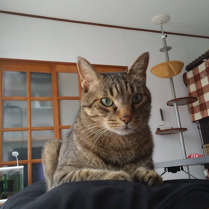 08c32b5b edfc 4e2a ab4a 4b0b5a87b9bd 1688096945972