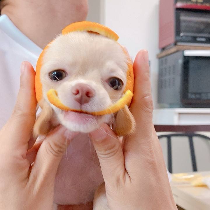 08c3391e 4bc9 4ad1 80b4 2c7370222a59 1593871680315