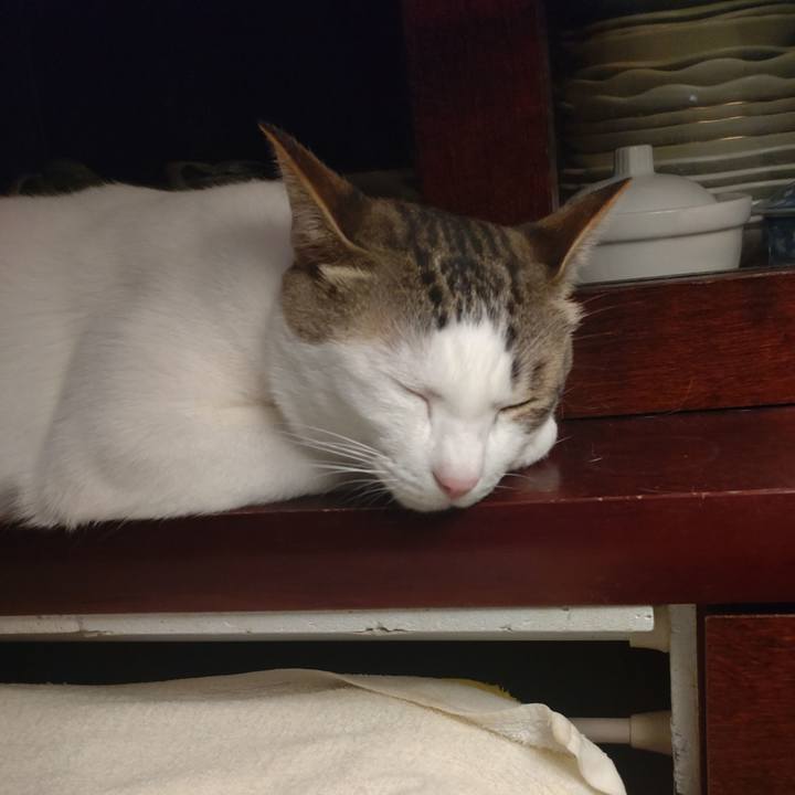 08c34291 5a1b 420a a2f1 8520b2c7d4eb 1710769682711