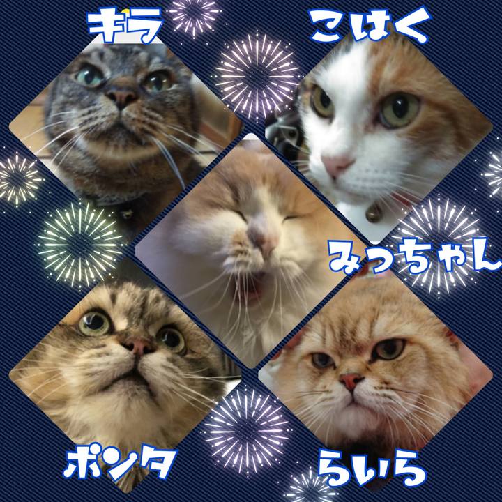 08c35eee 0553 4bf6 bdfb 17854e6383b1 1564578891197