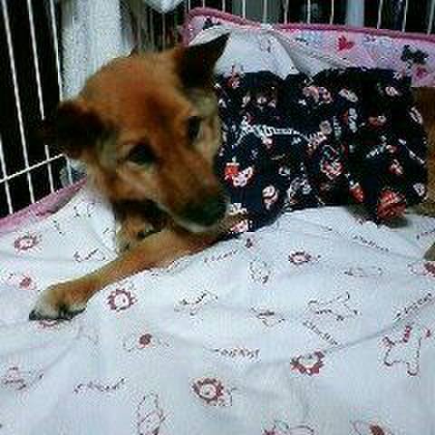 08c3a623 d667 43e4 b8d9 488a9cbc163a 1567001963644