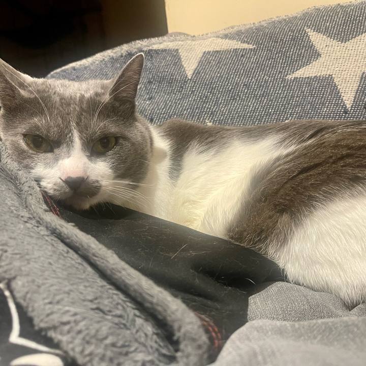 08c3b195 f2a6 499b a362 ee51b834c659 1649507309459