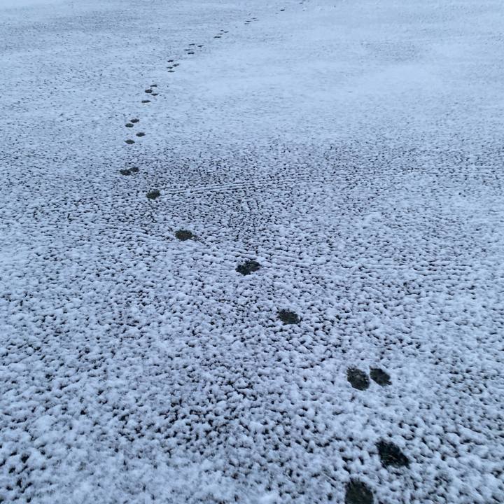 08c3c3f0 da42 46dc b8b2 f9e9d4222ad8 1706066698787