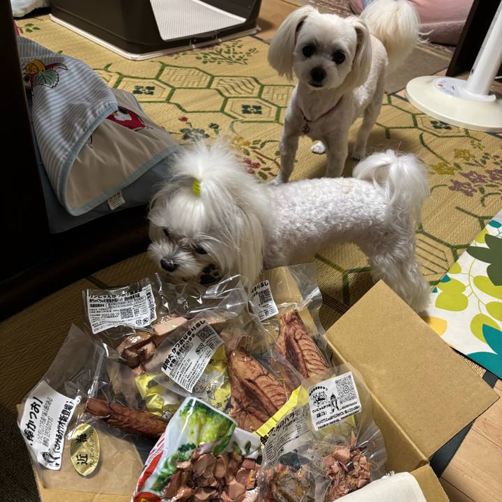 08c3cc12 34e8 477d a681 c7a7980601cd 1751625077169