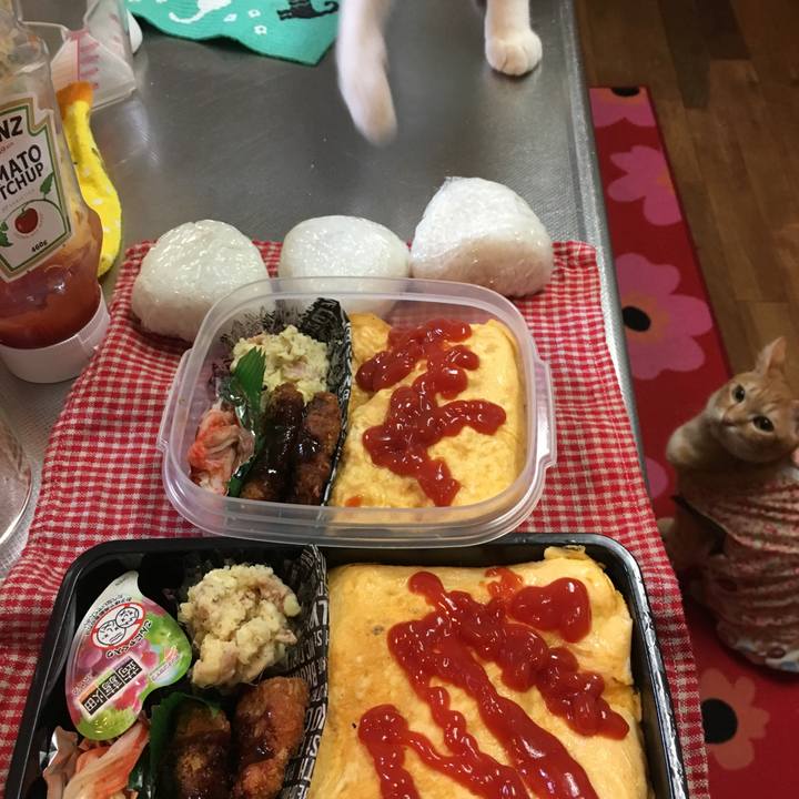 08c3de15 92c4 4302 a528 df4f02a4cc7e 1516246285629