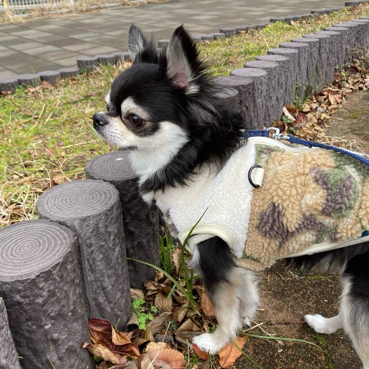 08c4196b f07d 483d 9bac 57546b5b6a08 1673754752232