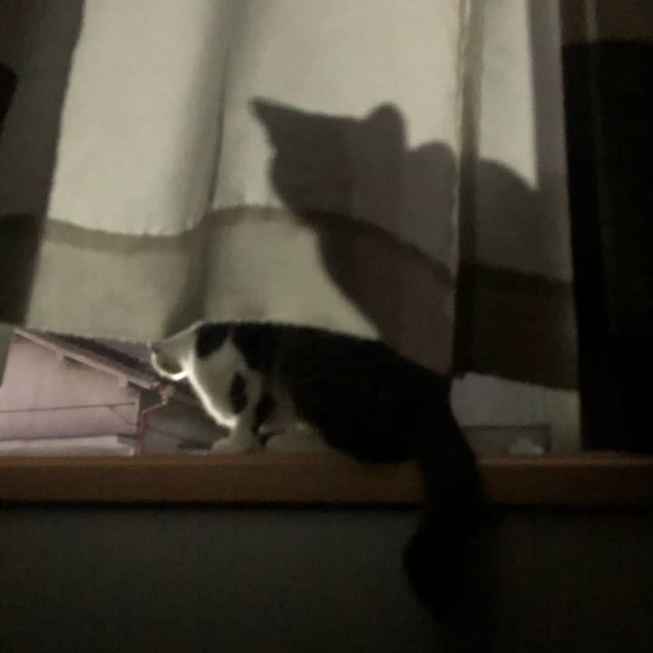 08c43925 7b6a 4f5a b22e 81858e05426b 1598716043149