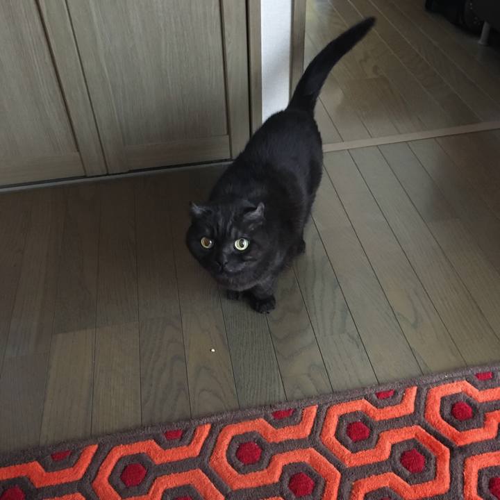 08c45e96 ec99 4f47 92d8 5b327b51d730 1547339674385