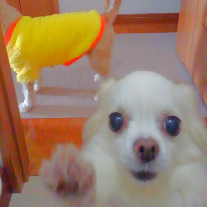 08c48f02 1b2d 45de a7fd d60f44ba11bc 1550996894288