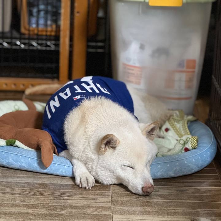 08c4961e 78c2 4482 85e5 8e8305ae916b 1772974775321