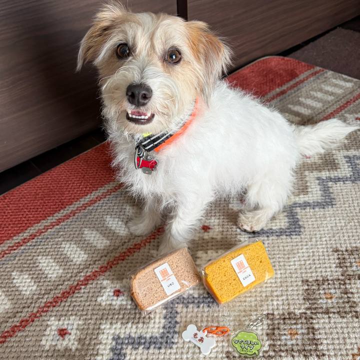 08c4c3d7 741e 4165 9588 6ef1ae15faac 1773552677775