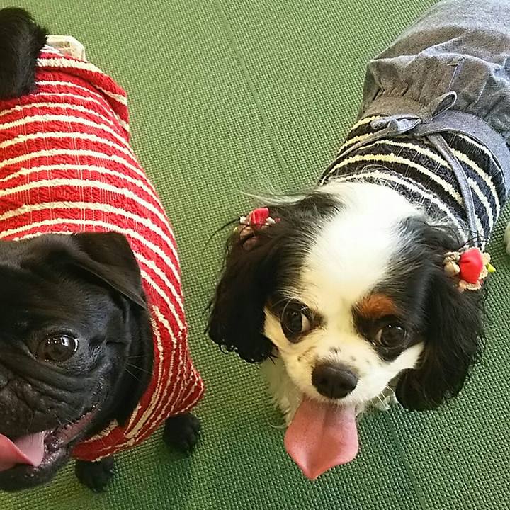 08c4fcb3 9309 4a4f b844 ba414bd4141f 1540270998024