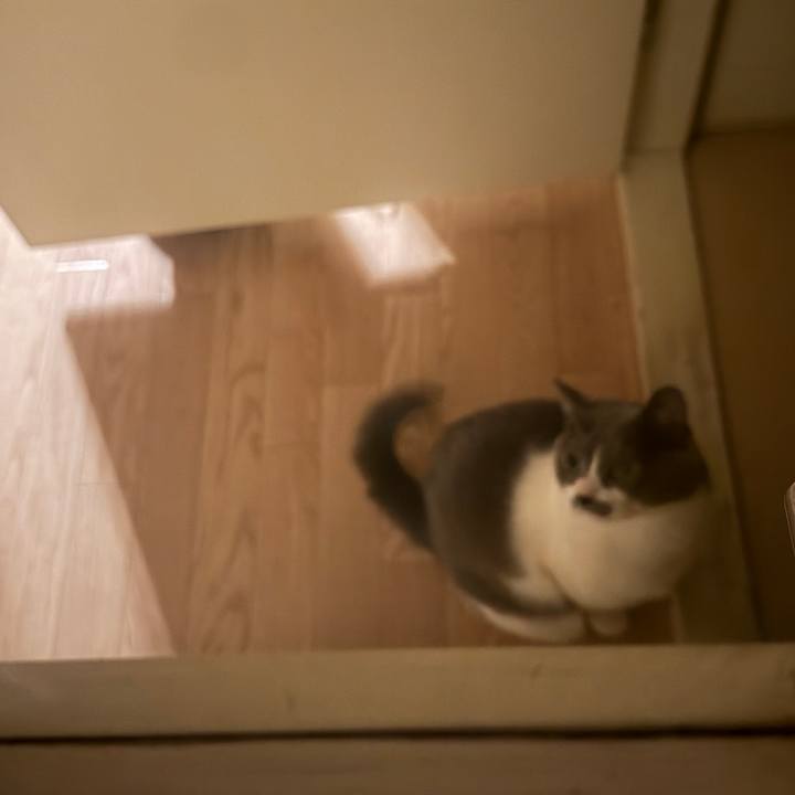 08c50709 eefe 48d2 9d7d 2c6458ea06c9 1767947840771