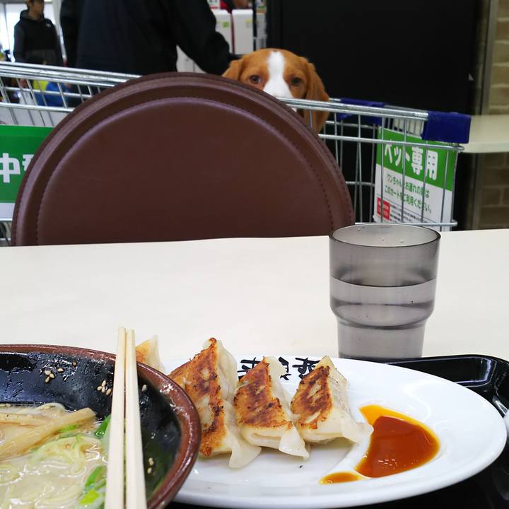 08c535c1 5ba4 4e8b 90eb 419553658263 1544328801622