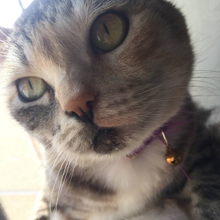 08c5365d 2e65 470a b528 a976d05cc942 1555733852876