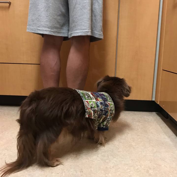 08c55163 7e6e 4ba1 9d2c bff6d02683fa 1537825525103