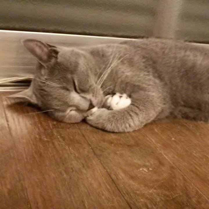 08c57d7c 34b8 4943 88de a4ad3f3aca82 1537651232070