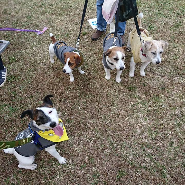 08c57e79 807b 4b98 a457 e345bde51bab 1510379239040