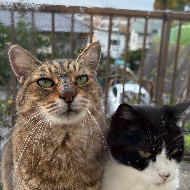 08c59d59 0f67 4f67 94ba f05b39d644fc 1762305844690