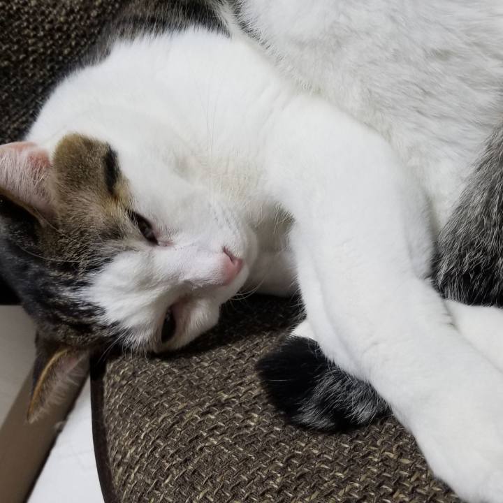 08c5bdcb 0cbb 47dd aaae dff0029f179e 1553166723357