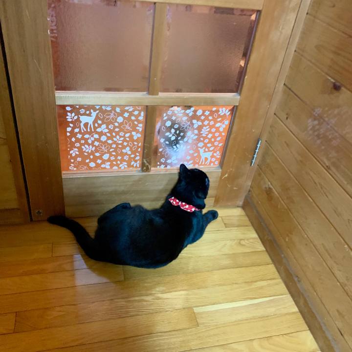 08c5d587 43cc 4472 a4ce 2b39f14c1d65 1561122234173