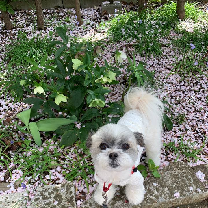 08c5eb20 0fbd 451f b42a d55c4fbf1aef 1617007224773