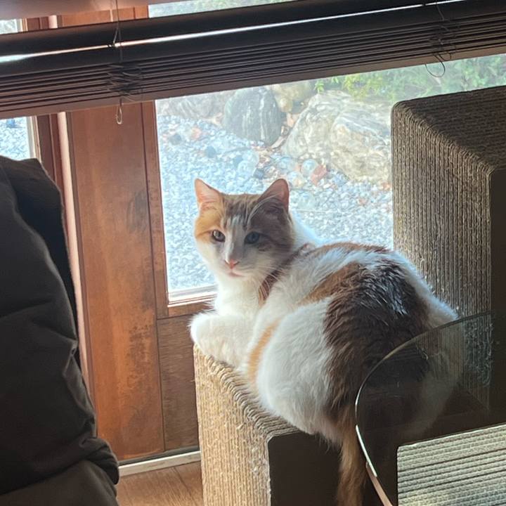 08c60263 e35c 4574 a041 9613106a0087 1771841581079