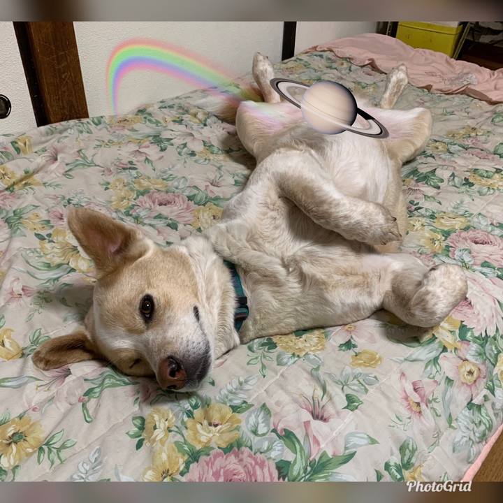 08c62146 1ef1 410b bbb5 2c2bce27ae97 1558361012154