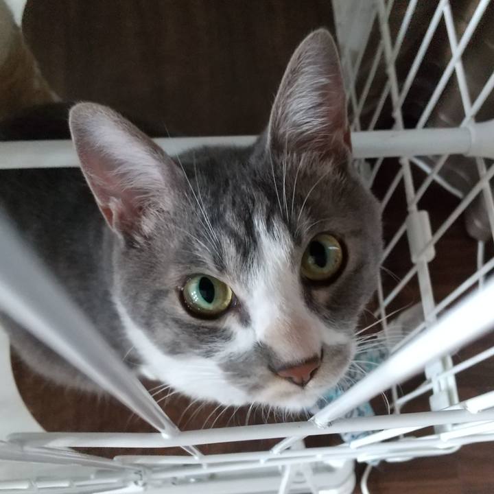 08c6250d aefc 4d72 8abf e67fa5c7167c 1596497902108