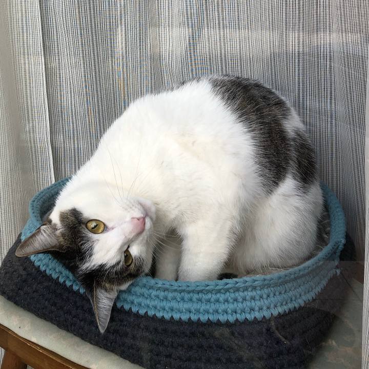 08c653ff caf0 46f2 81f8 d3084bfa30a5 1613005621253