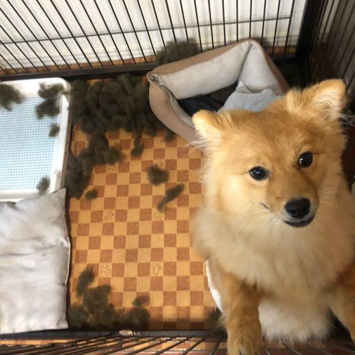 08c66fe3 0541 4bdc b8ad 31d104146ca0 1588149085276