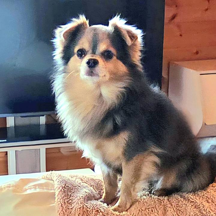 08c680ee 6889 4518 96c8 4a9557447b3f 1774912587974