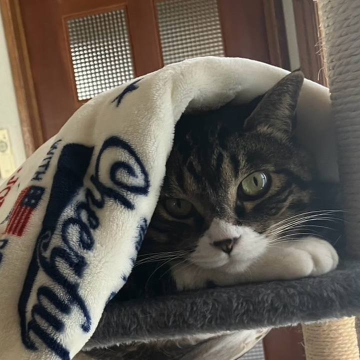 08c68188 9b0b 424c 874a 072819f30478 1773270958362