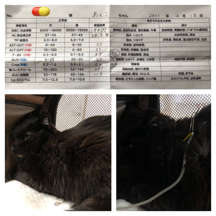 08c6ee54 4174 4b81 93a4 be475e768840 1618716240514