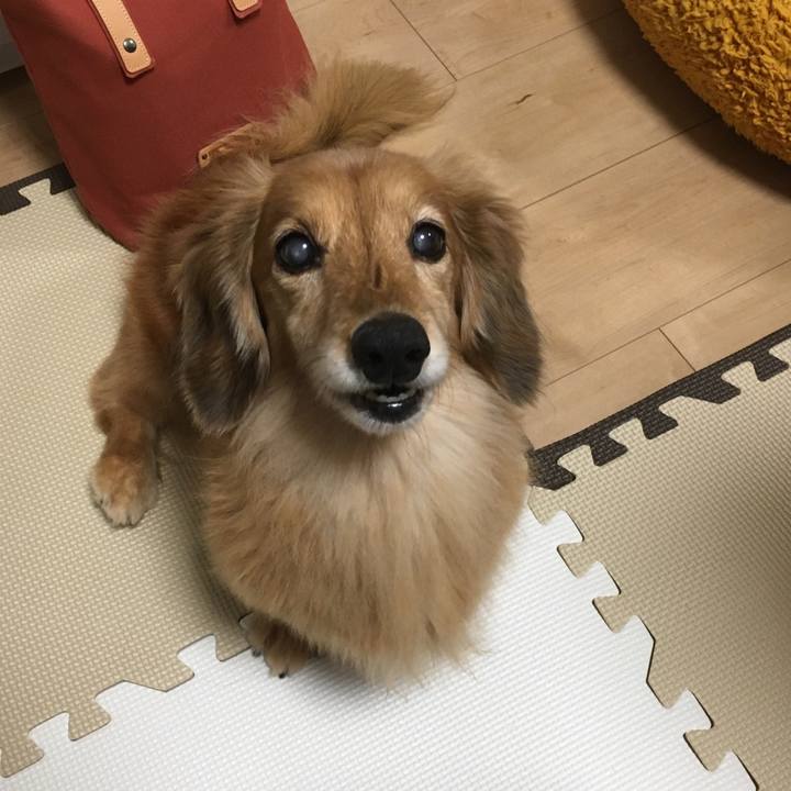 08c6f90c 789c 4bd9 ace6 489ab6a3b6e5 1630841387726