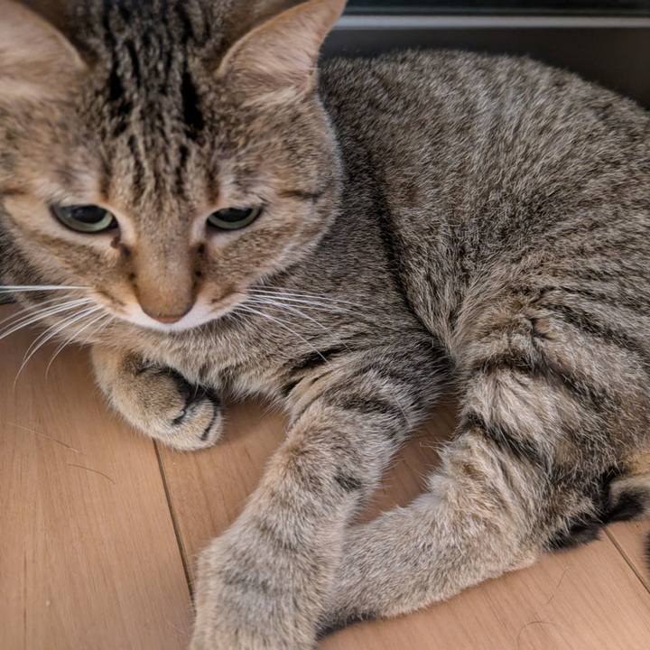 08c71b0e 2c03 4b36 a257 ac56e43aa7c4 1760477150491