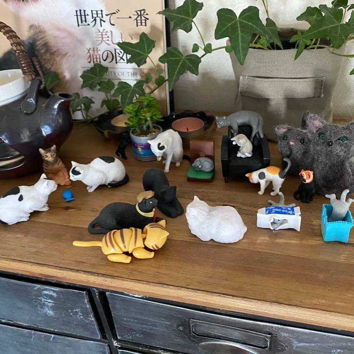 08c73954 bd7e 470e 9be0 6e859e671201 1597363703392