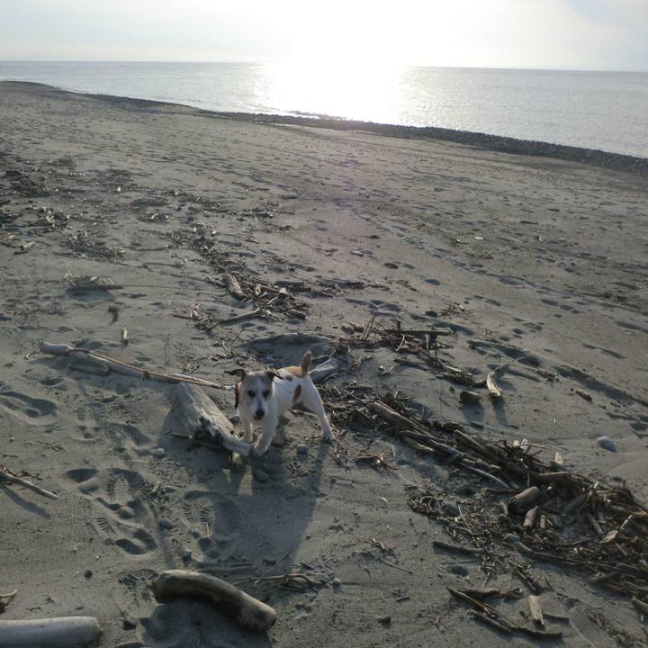 08c73ad8 cee5 4700 81da 80e11854e701 1585483518991