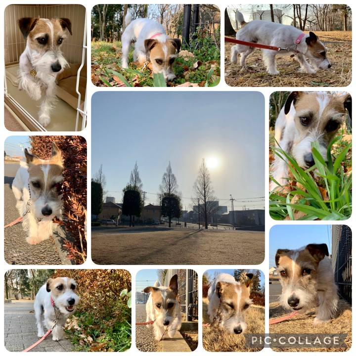 08c754df c99f 4e25 bb24 3ae8ceed7619 1613193507823