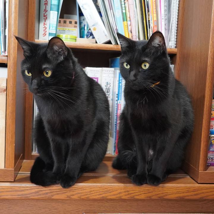 08c76f8a 2fed 49c5 8ab8 851f6618a7ce 1614583859024