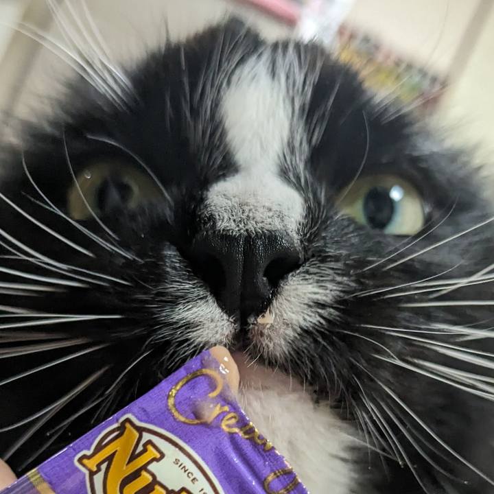 08c77cd5 94db 4605 91d8 181ef4aa5cb3 1712492482881