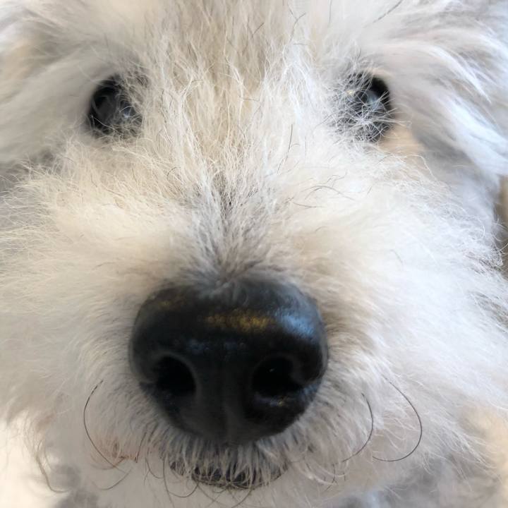 08c79e5d a365 4b7c a7a0 d41885d66d83 1595202658048