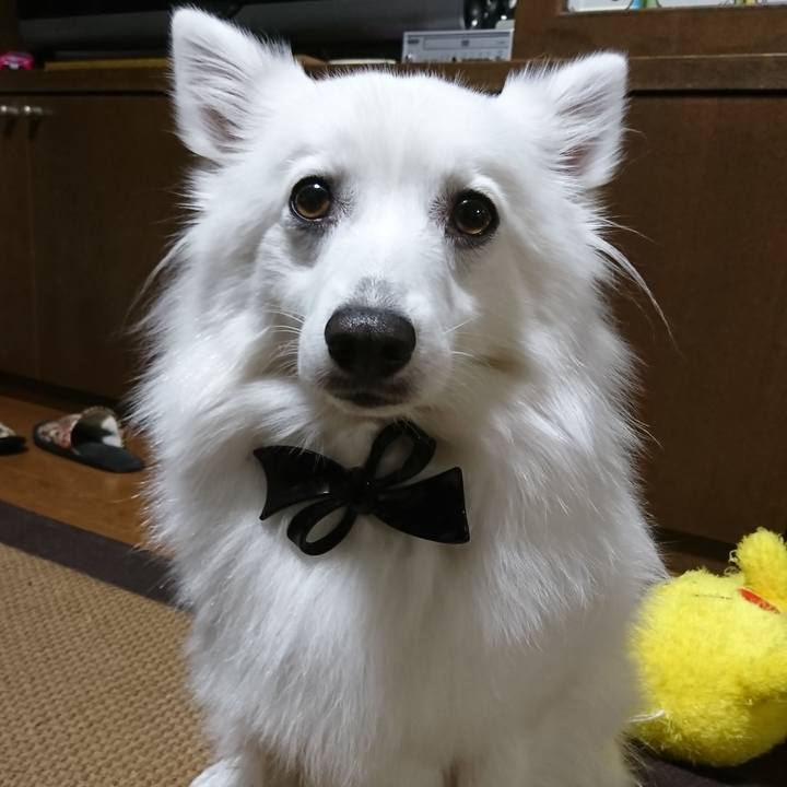 08c7c353 9e21 4ea7 9e0e ba3cfad2f83e 1543742773512