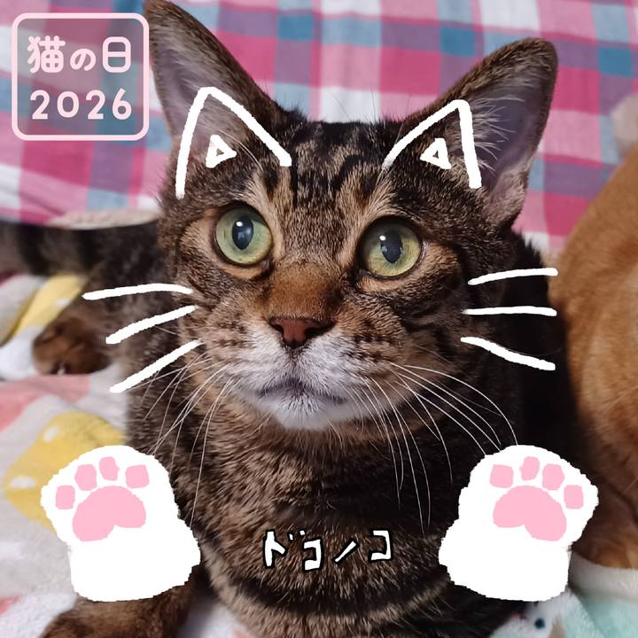 08c7f101 1b25 4479 9102 b4a093d33357 1771733974221