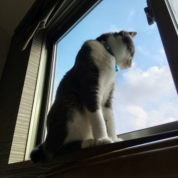 08c7f53d 3ad4 4062 92d1 f4d75bd4d326 1622675190164